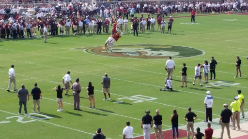 Stadium «Bobby Bowden Field at Doak Campbell Stadium», reviews and photos, 403 Stadium Dr, Tallahassee, FL 32304, USA