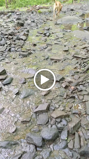 Nature Preserve «Sourland Mountain Preserve», reviews and photos, 421 E Mountain Rd, Hillsborough Township, NJ 08844, USA