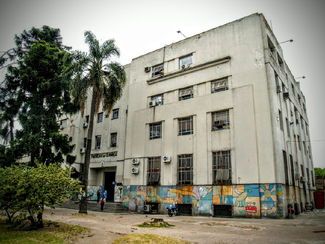 Facultad de Química | UDELAR