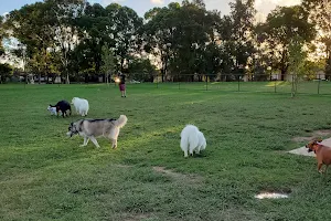 Poppy's dog park image