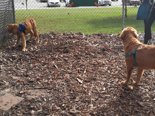 Park «Christopher Morley Park», reviews and photos, 500 Searingtown Rd N, Roslyn, NY 11576, USA