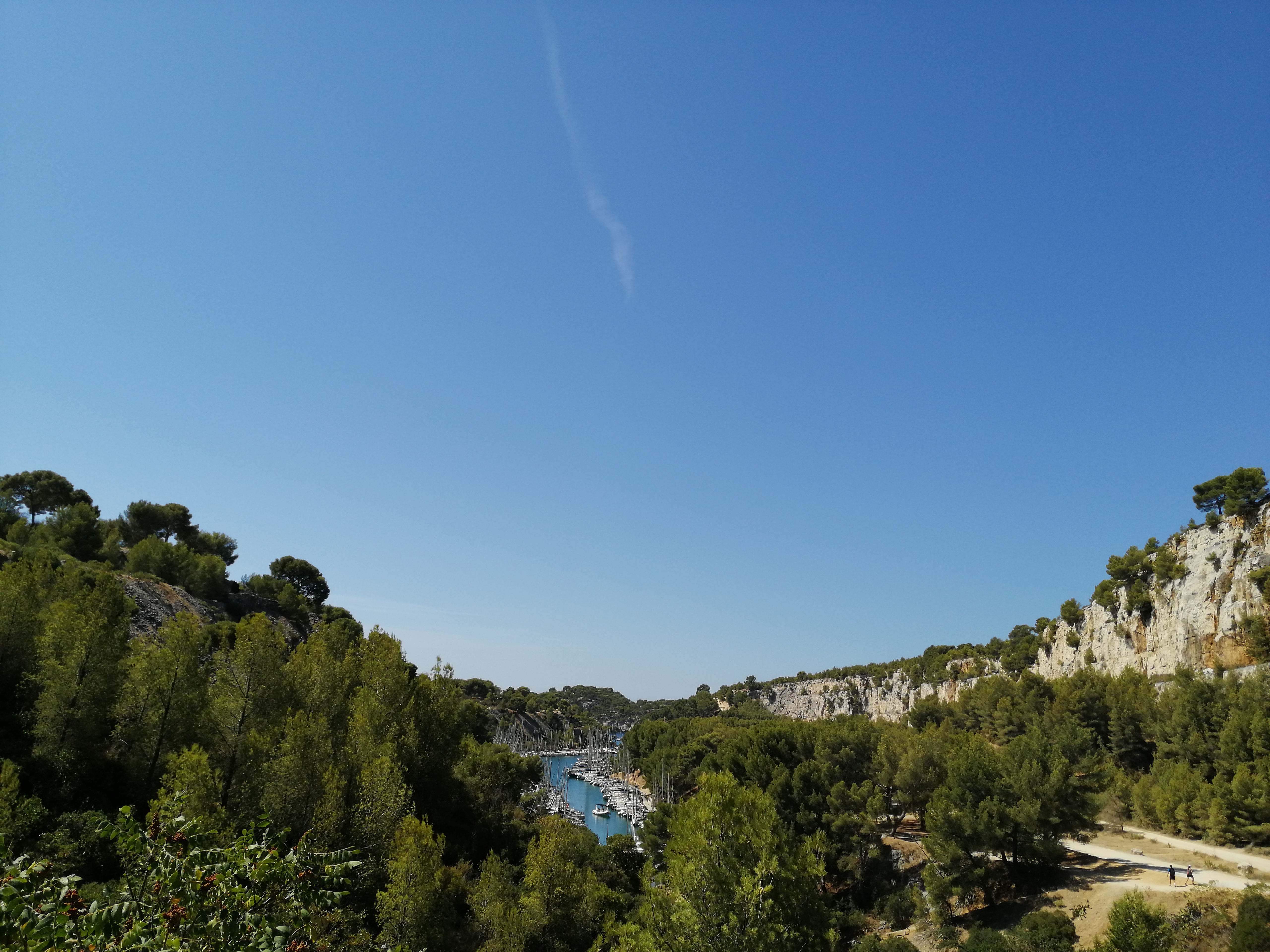 Photo n° 14 de l'avis de Noé. fait le 25/08/2020 à 23:09