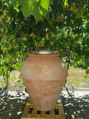 Benjamin TARTAS à Morizès