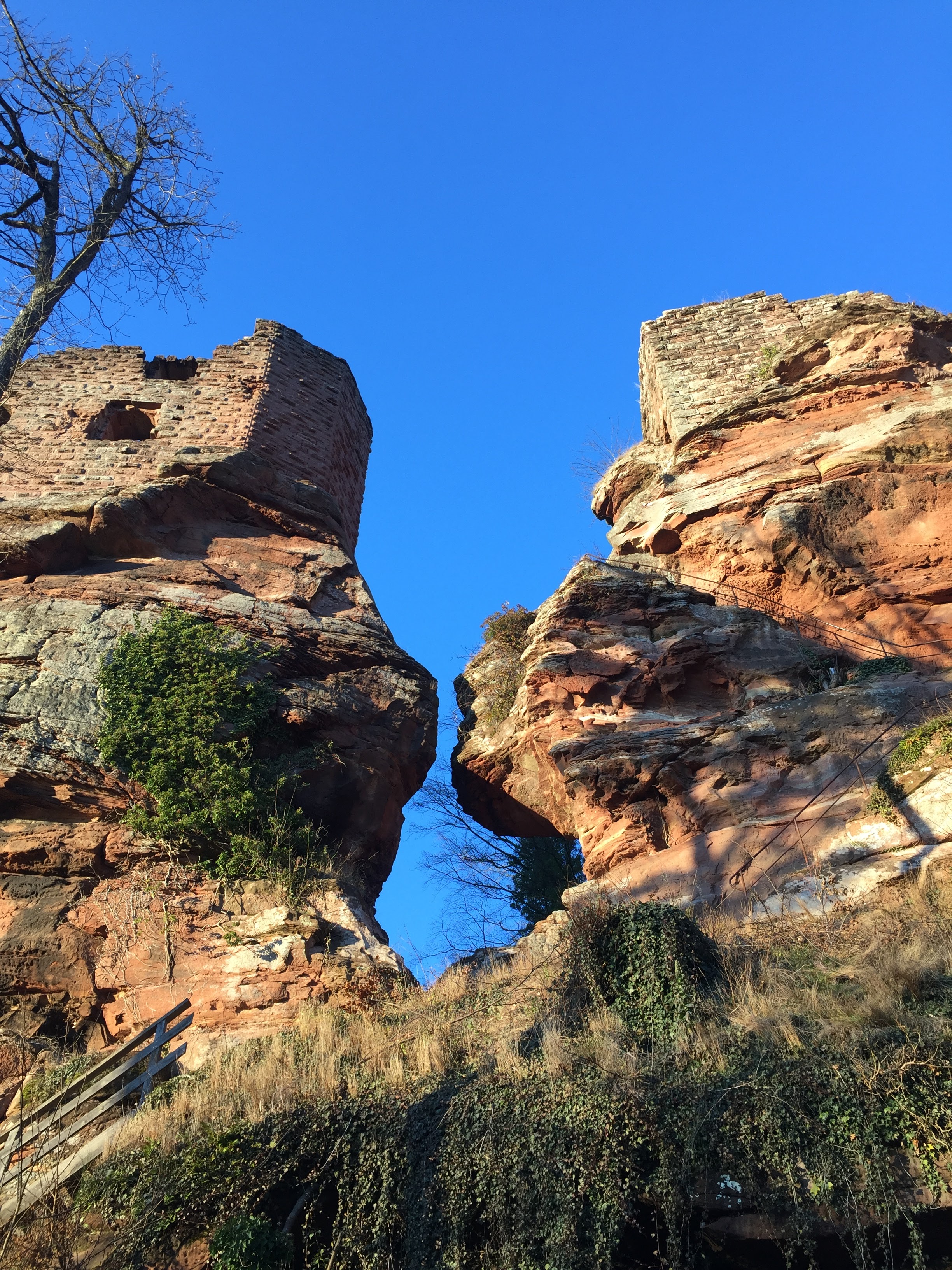 Photo n° 10 de l'avis de Sandra.i fait le 31/12/2020 à 14:00