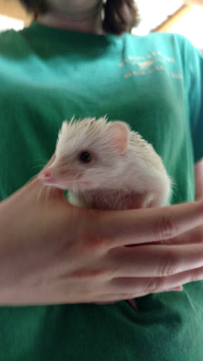 Zoo «North Georgia Zoo & Farm», reviews and photos, 2912 Paradise Valley Rd, Cleveland, GA 30528, USA