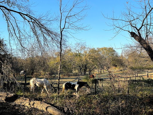 Park «Sparger Park», reviews and photos, 4301 Bedford Rd, Colleyville, TX 76034, USA