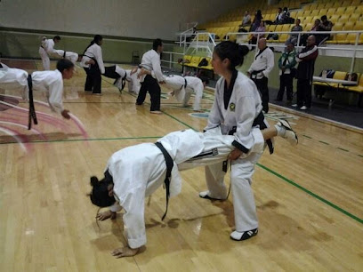 Escuela de Taekwondo Argentum Gomez Palacio