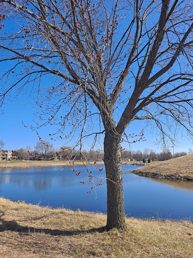 Park «Smith Park», reviews and photos, 8155 Park Ave S, Bloomington, MN 55420, USA