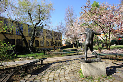 Akademija za likovno umetnost v Zagrebu