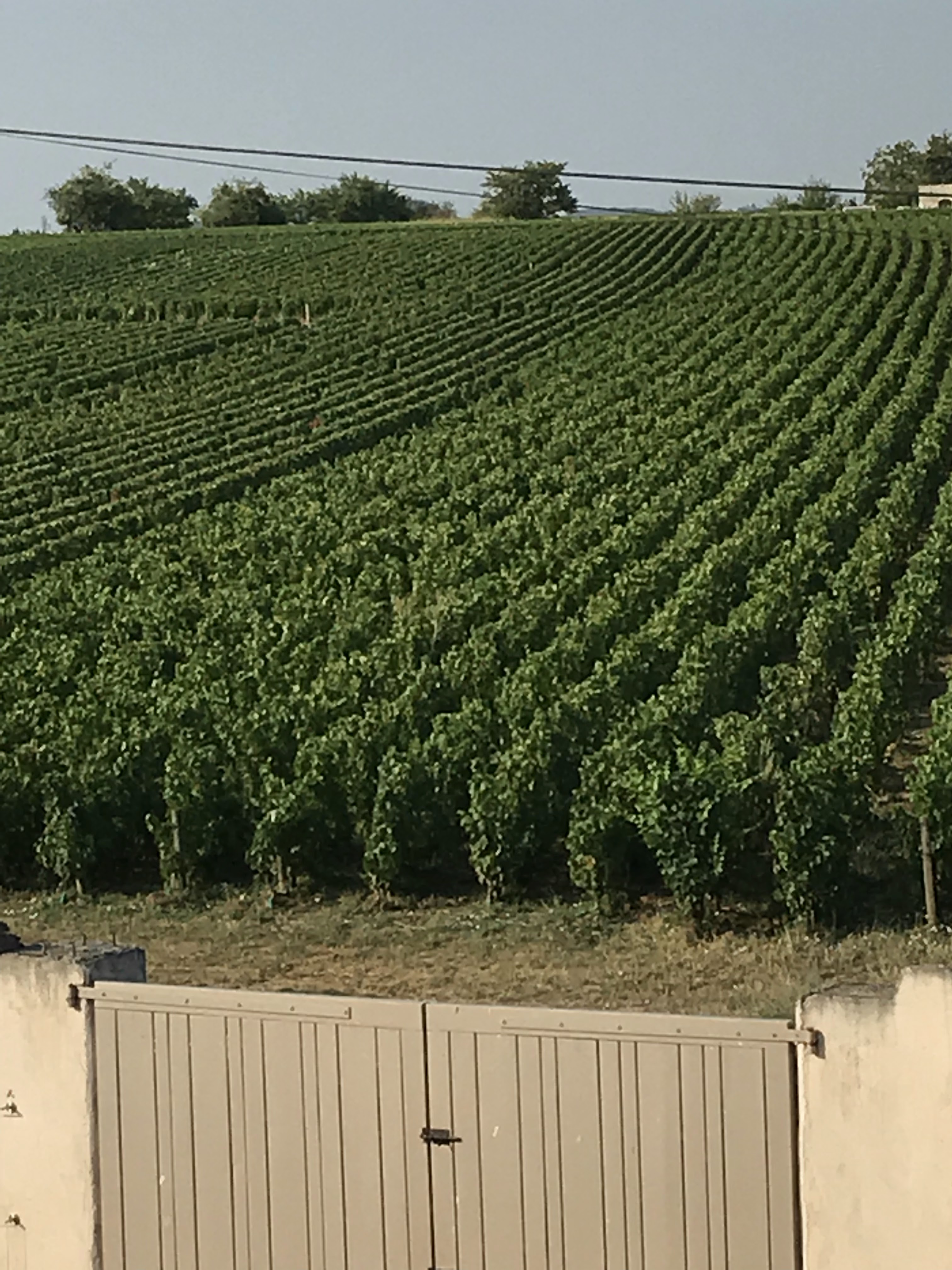 Photo n° 1 de l'avis de Lambert.y fait le 11/08/2018 à 10:38