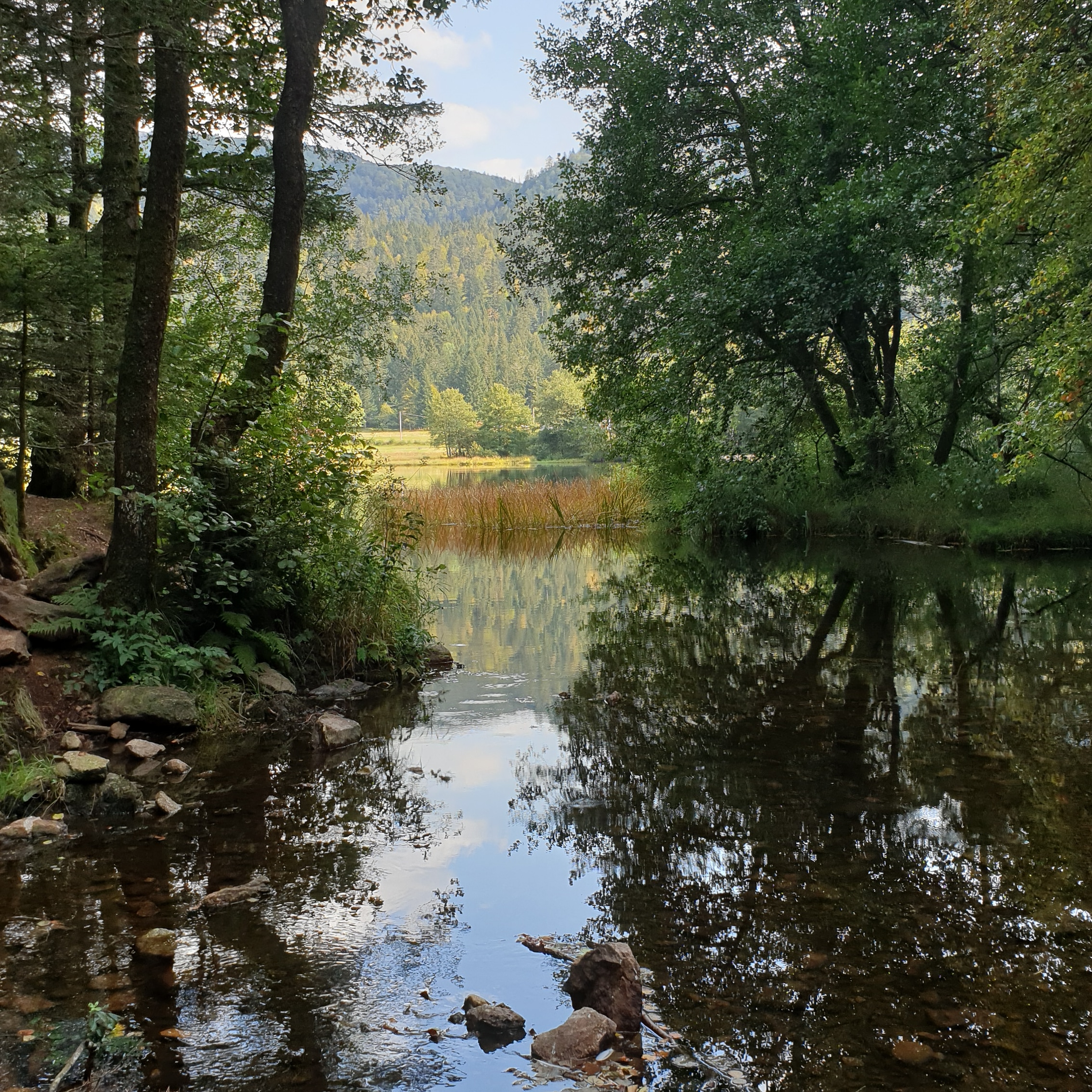 Photo n° 2 de l'avis de Géraldine.o fait le 15/09/2020 à 06:29