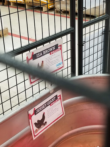 Home Improvement Store «Tractor Supply Co.», reviews and photos, 154 Vestal Pkwy W, Vestal, NY 13850, USA