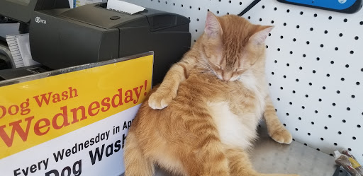 Pet Supply Store «Chow Hound Pet Supplies», reviews and photos, 5811 Byron Center Ave SW, Wyoming, MI 49519, USA