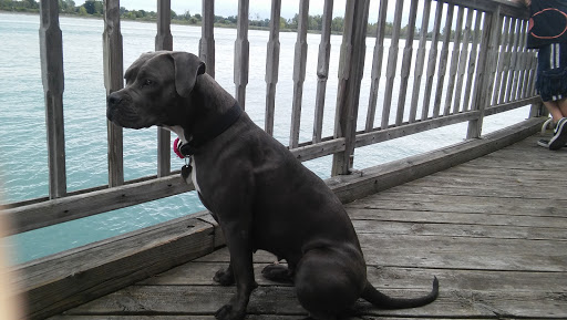 West Marine, 401 Michigan St, Algonac, MI 48001, USA, 