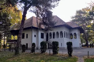 National Museum Constantin Brâncuși image