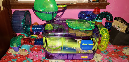 Pet Supply Store «Petco Animal Supplies», reviews and photos, 7625 Jolly Ln, Brooklyn Park, MN 55428, USA