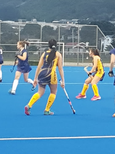 Reviews of National Hockey Stadium in Wellington - Sports Complex