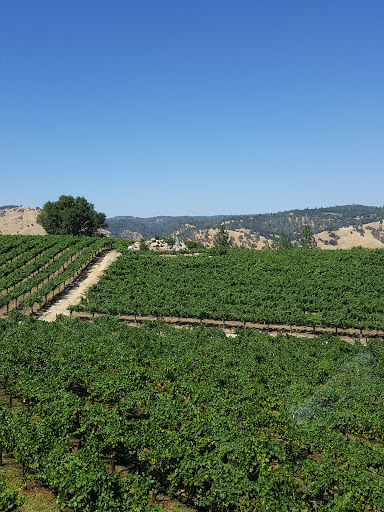 Vineyard «Gold Hill Vineyard», reviews and photos, 5660 Vineyard Ln, Placerville, CA 95667, USA