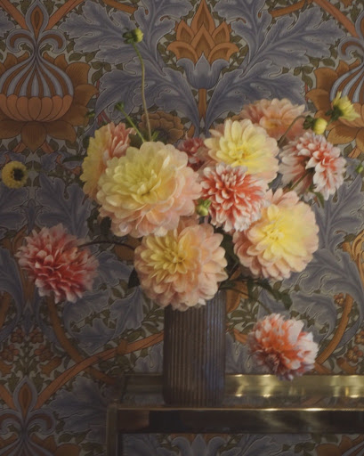 Store «Hops Petunia», reviews and photos, 73 Broadway, Kingston, NY 12401, USA