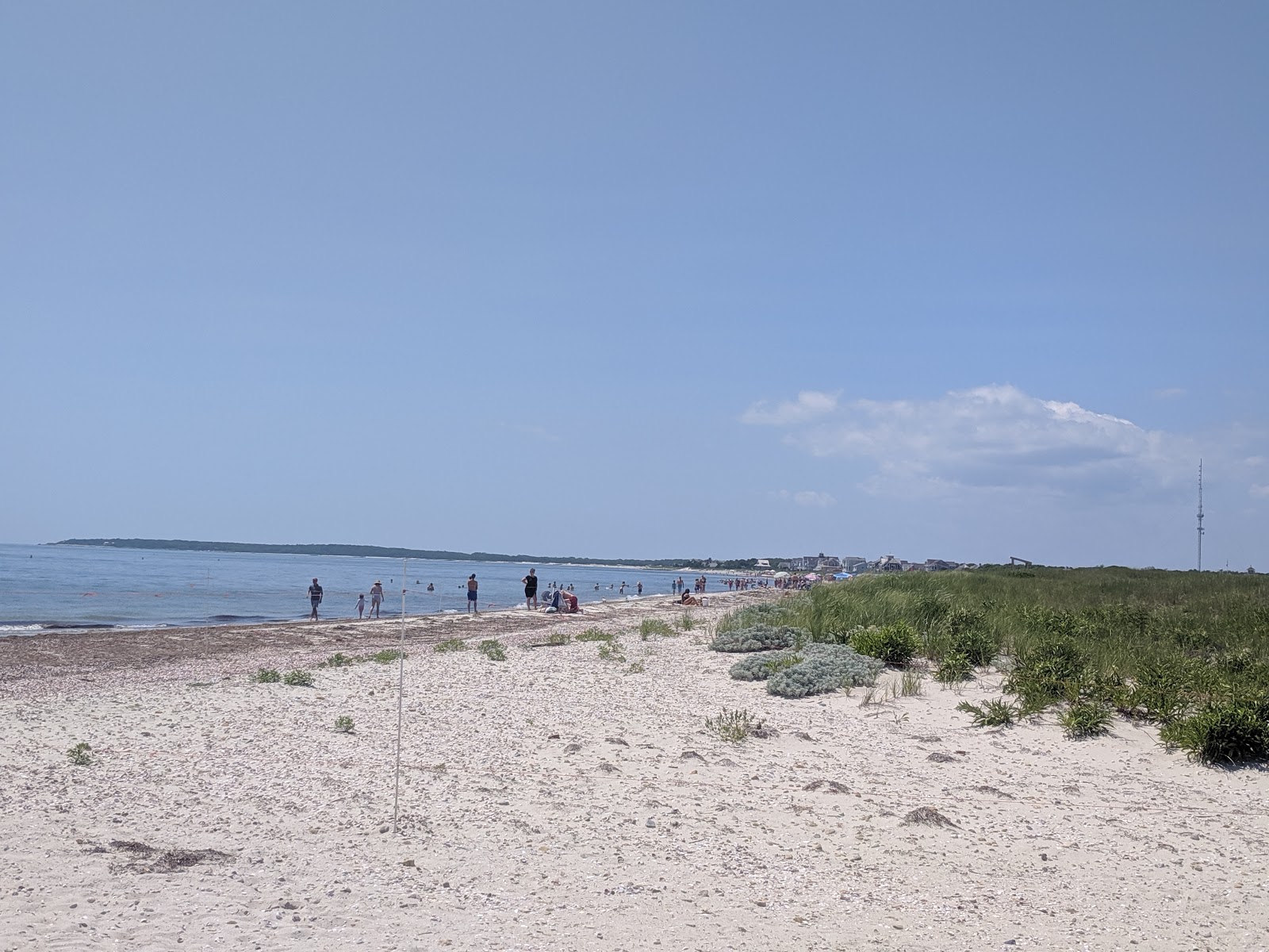 Seagull Beach photo #8