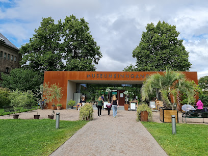 Naturhistorisk museum