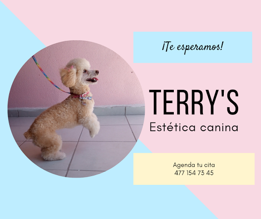 Terry's estética canina