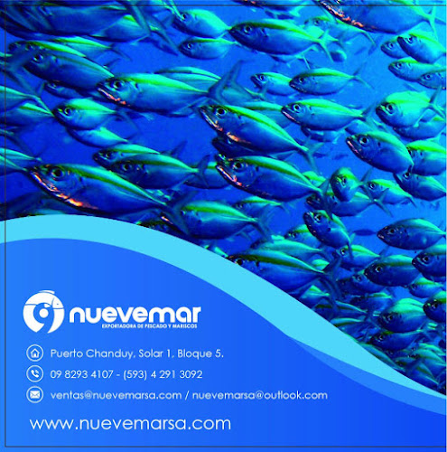 Nuevemar S. A.