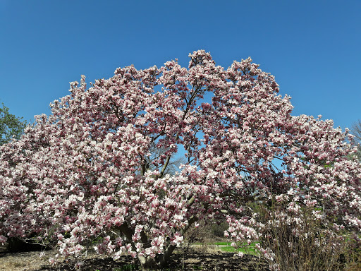 Botanical Garden «Olbrich Botanical Gardens», reviews and photos, 3330 Atwood Ave, Madison, WI 53704, USA