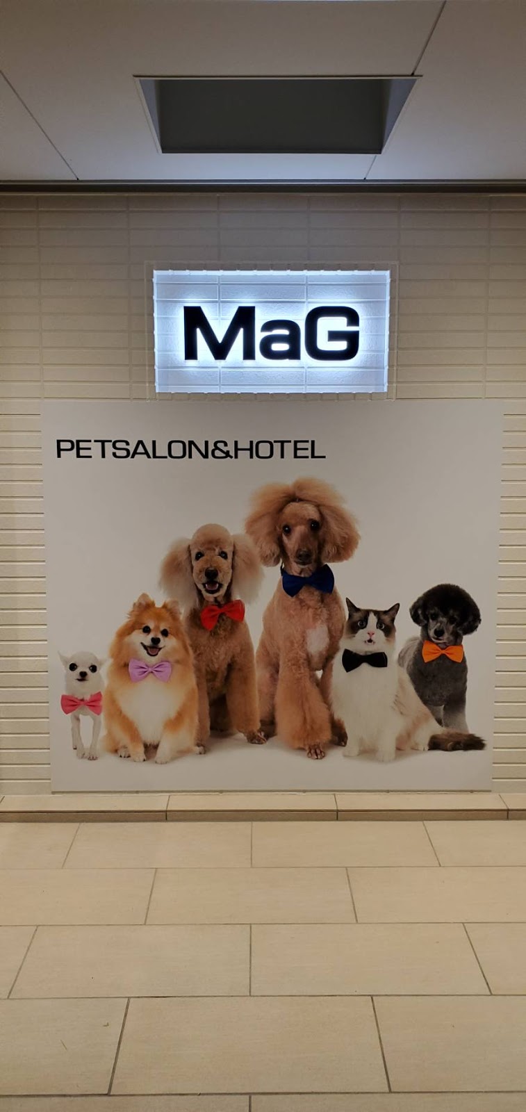 Pet Salon & Hotel MaG 大阪市北区 天六 トリミングサロン ペットホテル
