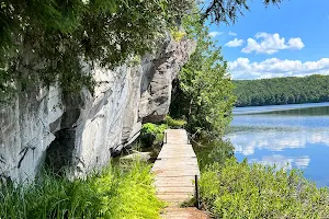 Limberlost Forest and Wildlife Reserve image