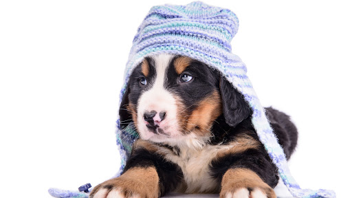 Plumber «Neffsville Plumbing & Heating Services», reviews and photos, 1208 Harrisburg Pike #101, Lancaster, PA 17603, USA