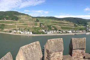 Rhine River Tours image