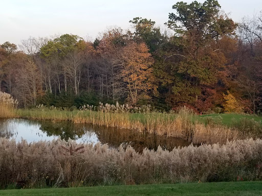 Golf Club «Mountain Branch», reviews and photos, 1827 Mountain Rd, Joppa, MD 21085, USA