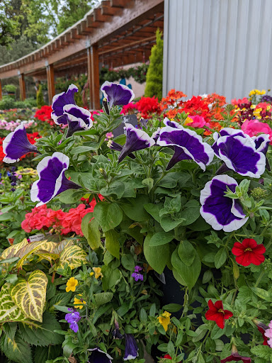 Grocery Store «Haggen Food & Pharmacy», reviews and photos, 17641 Garden Way NE, Woodinville, WA 98072, USA