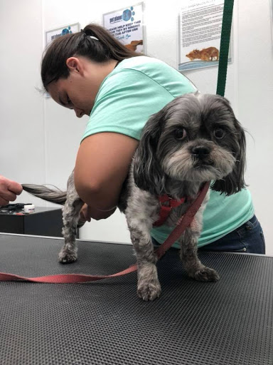 Pet Store «Pet Planet Ridgeview», reviews and photos, 2910 N Power Rd #103, Mesa, AZ 85215, USA