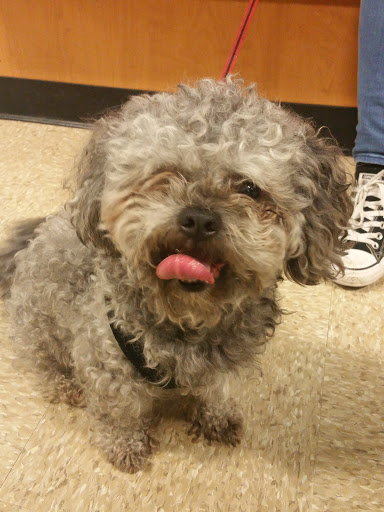 Pet Supply Store «PetSmart», reviews and photos, 156 Old Little Britain Rd, Newburgh, NY 12550, USA