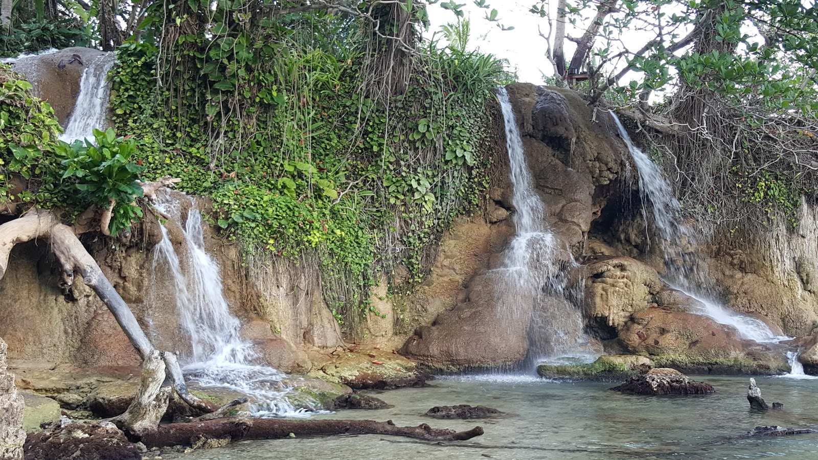 Foto de Little Dunn's River Beach com alto nível de limpeza