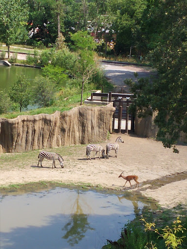 Foundation «The Henry Doorly Zoo», reviews and photos, 3701 S 10th St, Omaha, NE 68107, USA