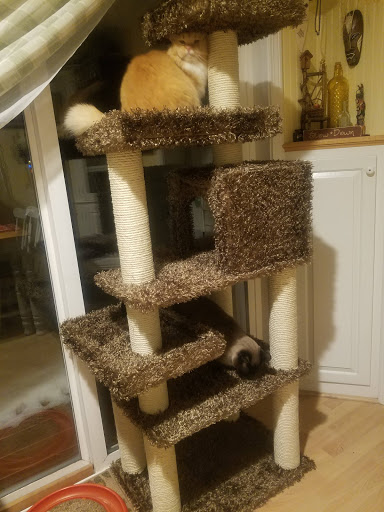 Pet Supply Store «PetSmart», reviews and photos, 208 Mariner Way, Biddeford, ME 04005, USA