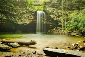 Little Stony Falls image