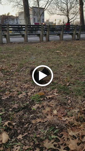 Park «Virginia Park», reviews and photos, 1878 Cross Bronx Expy, Bronx, NY 10472, USA