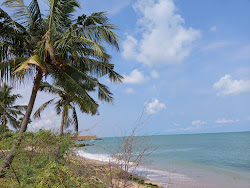 Zdjęcie Amanakkanvilai Beach i osada