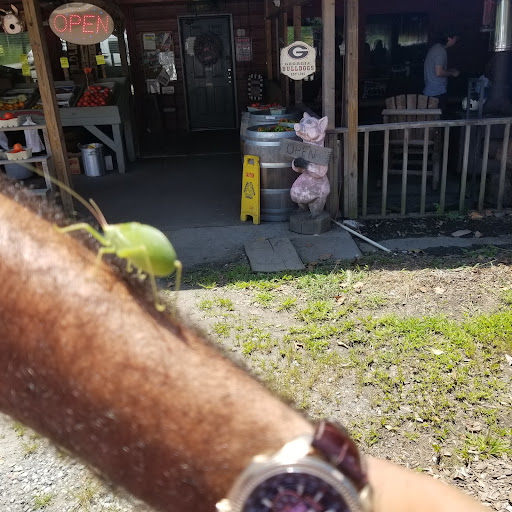 Barbecue Restaurant «Farm House Produce», reviews and photos, 4690 GA-52, Dahlonega, GA 30533, USA