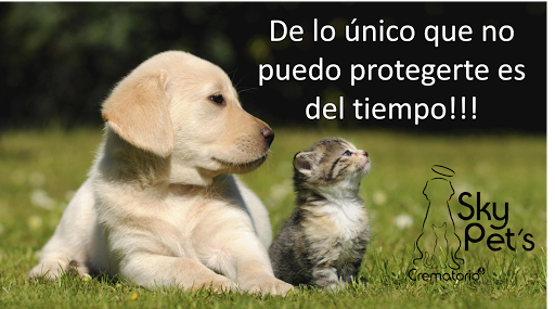 Sky Pets - Crematorio de Mascotas en Monterrey Nuevo