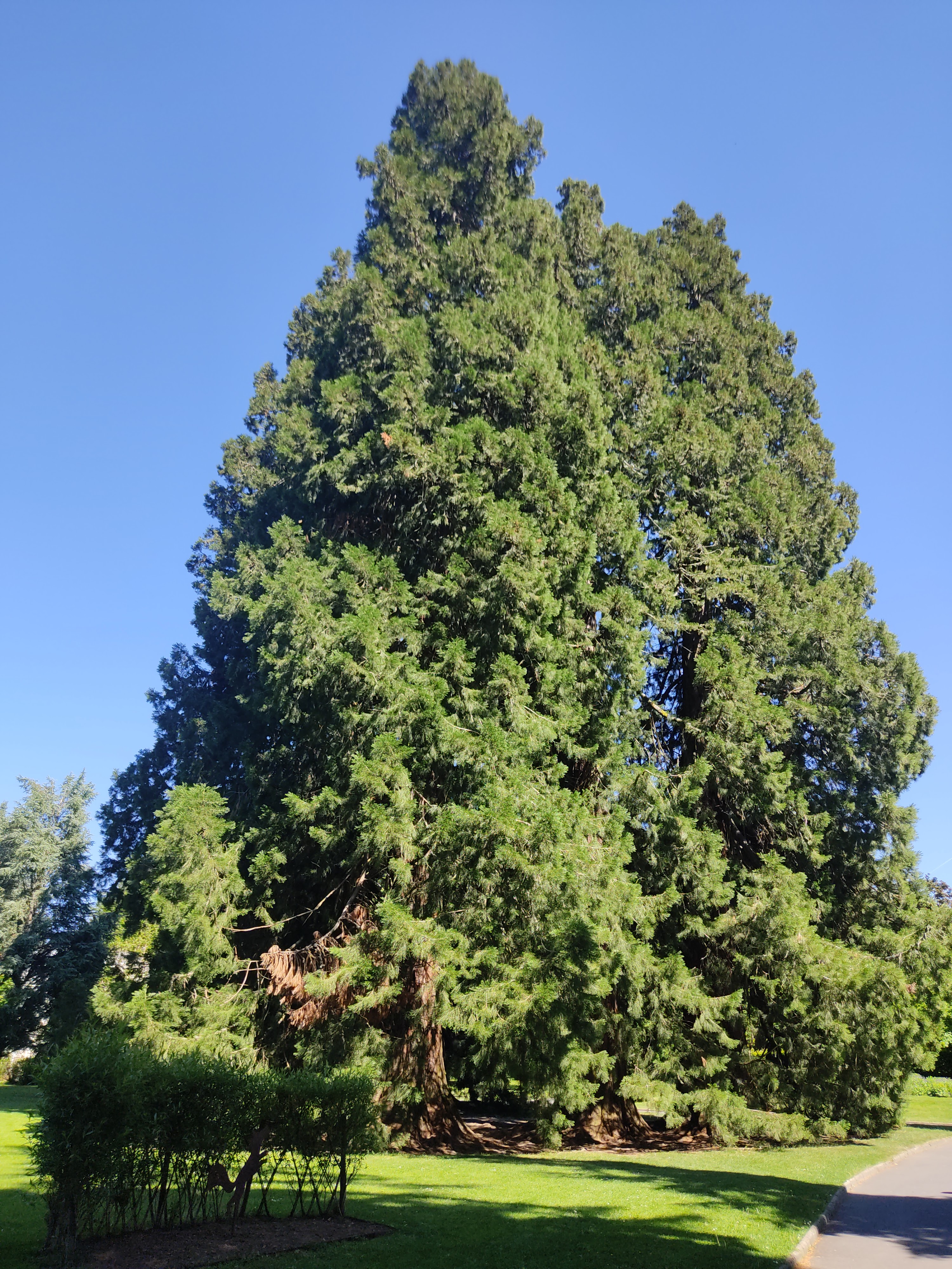 Photo n° 23 de l'avis de David.i fait le 29/05/2022 à 19:15