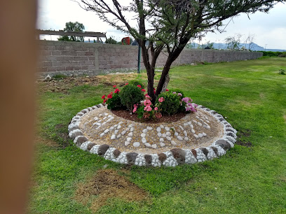 Vivero ecológico sucursal loma del rio