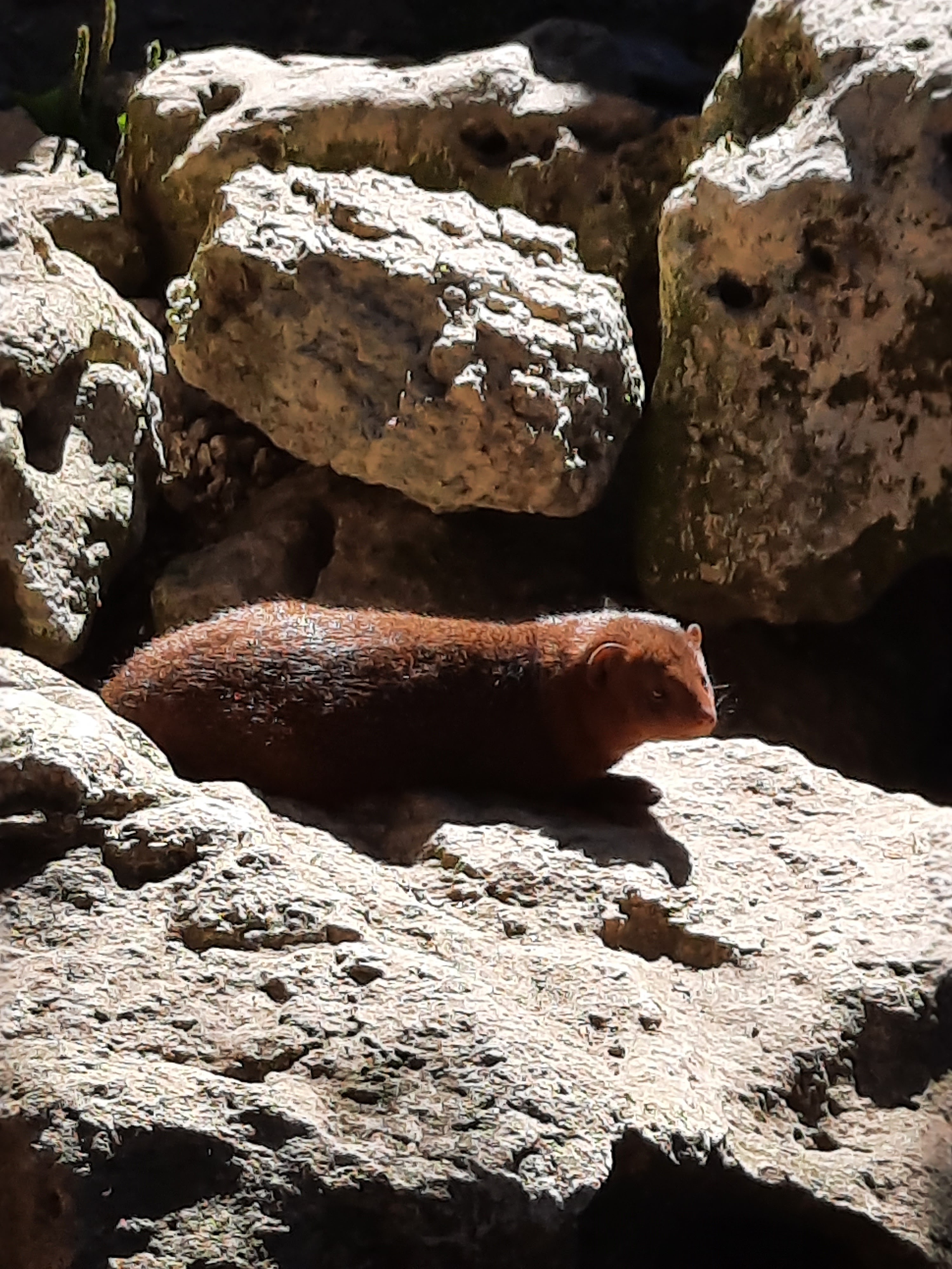 Photo n° 16 de l'avis de Gwen.i fait le 08/08/2023 à 13:19