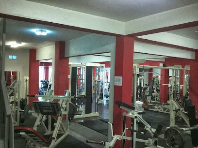 Physical Gym - 474 Luis M Souffront, San Juan, 00923, Puerto Rico