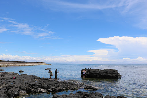 Top 20 cửa hàng akemi Huyện Lý Sơn Quảng Ngãi 2022