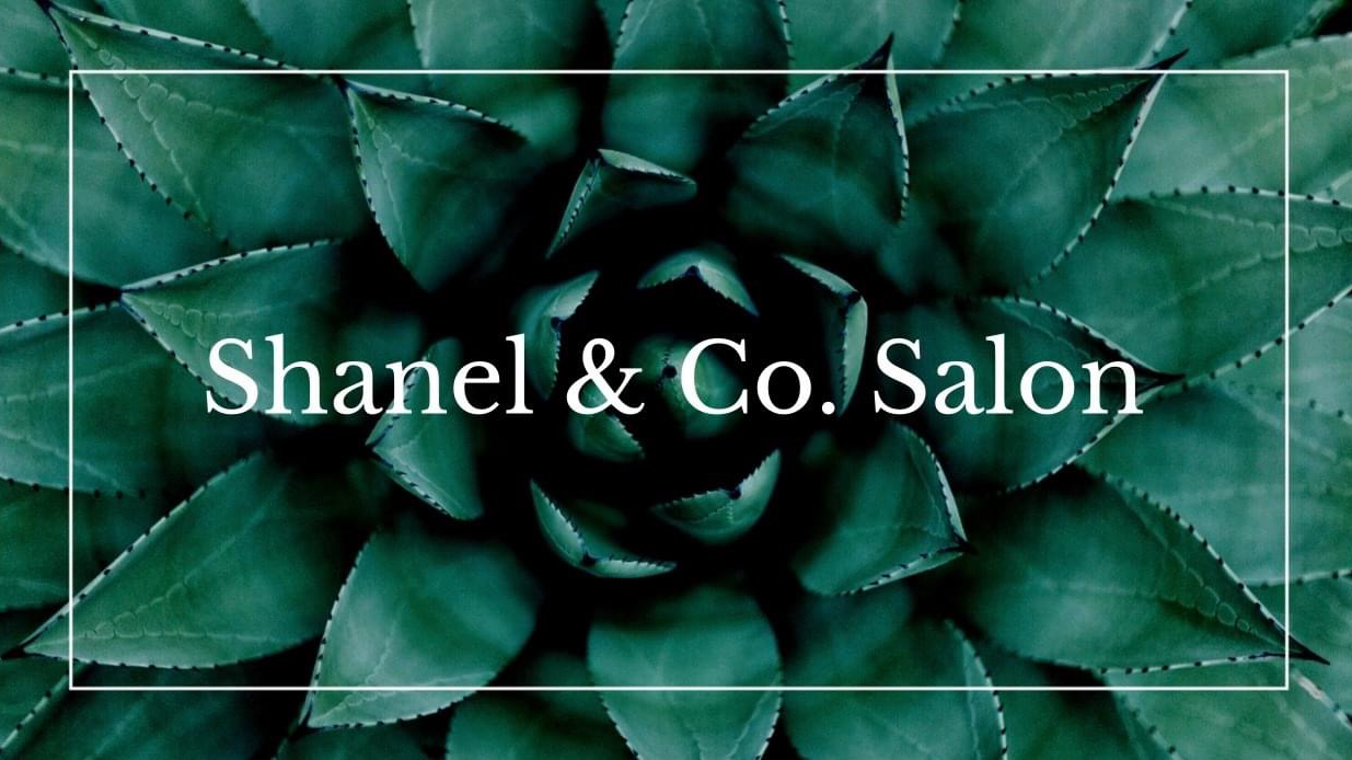 Shanel & Co. Salon